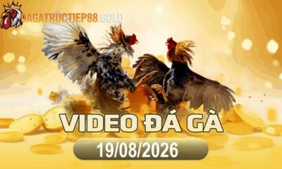 img video da ga cpc4 1787184008